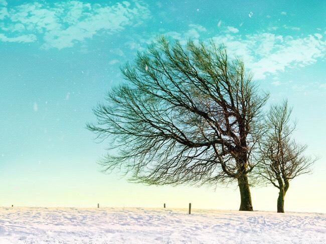 离婚时，遇到前世的你