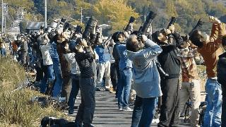 柳州哪个公园有足球场,柳州新建紫荆花公园