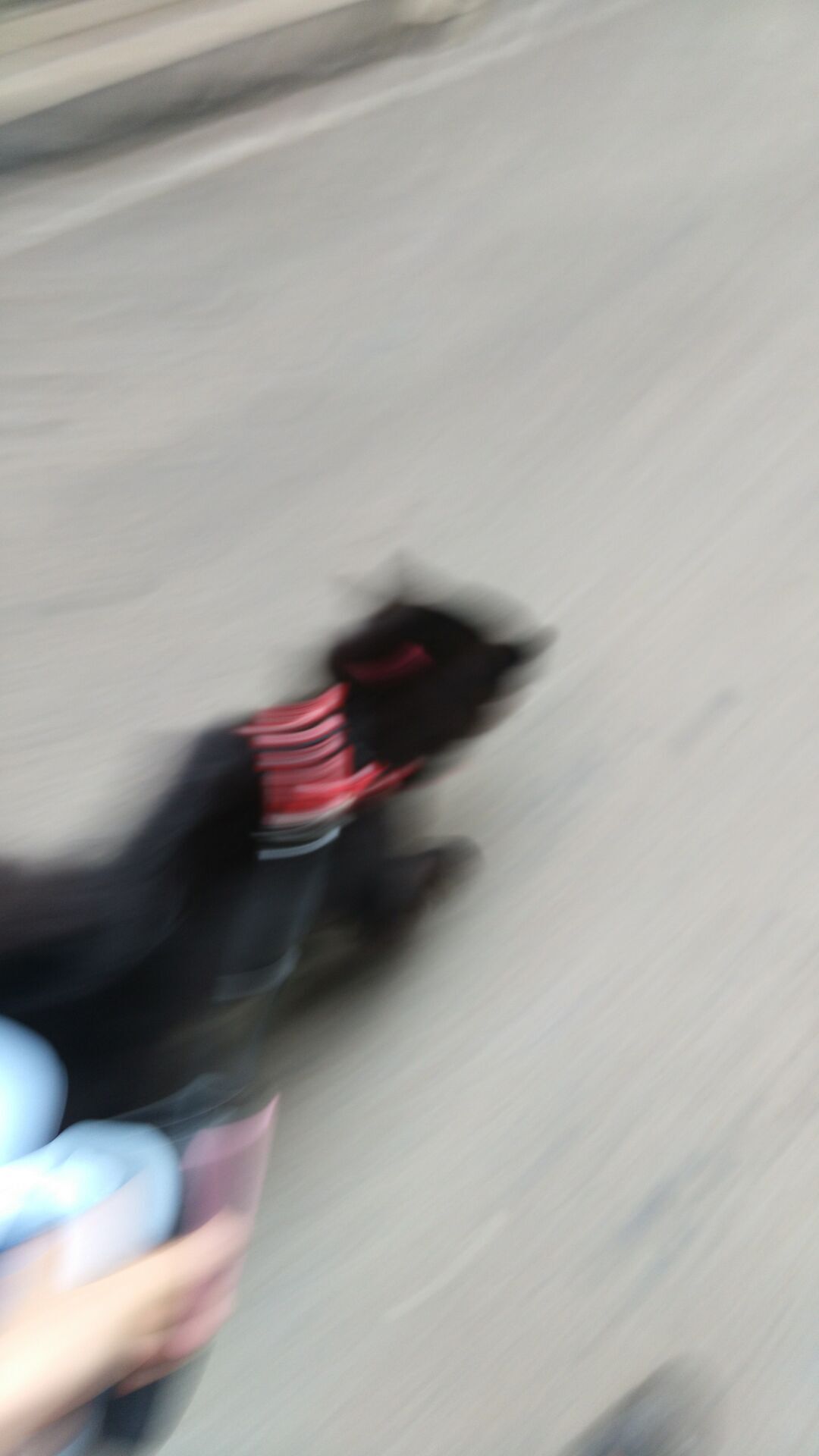 狗狗吃火腿肠包装袋能拉出来吗,狗狗把火腿肠的皮和环吞了怎么办