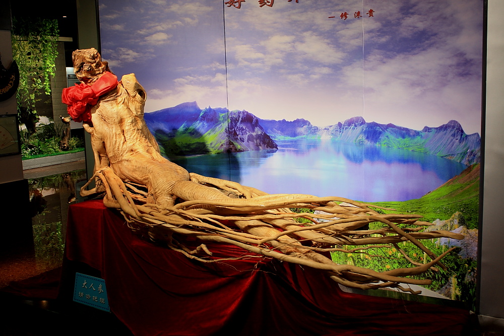 场务必备神器,救场术