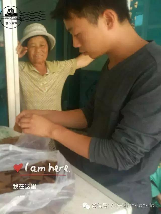 驴胶知识全在这儿了