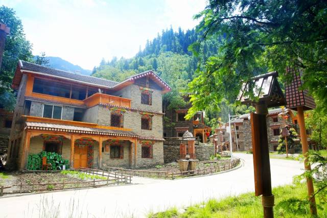 黑水彩林秘境,阿坝藏族羌族自治州黑水彩林