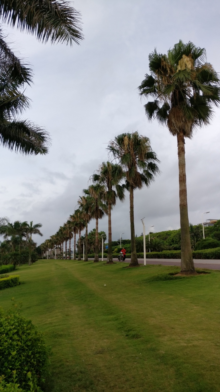 手感最好的手机一加,一加手感