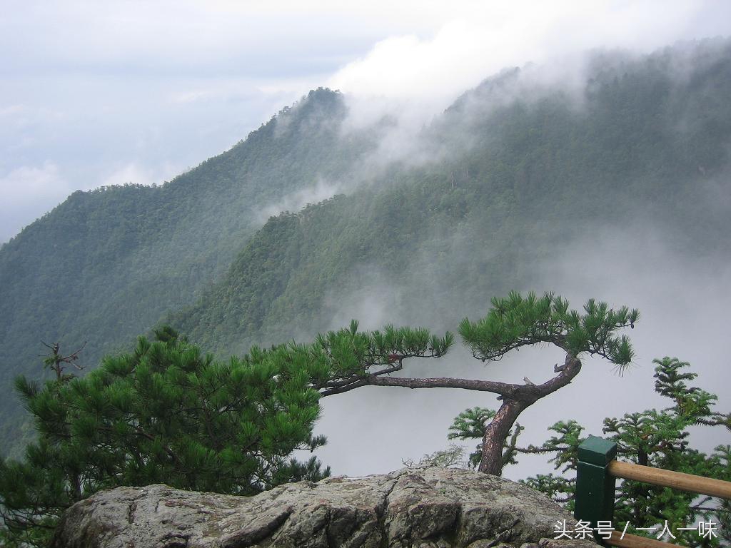 漫游天目山,探幽天目山森林之旅