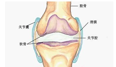 39岁踢完球膝盖痛怎么办,踢完球膝盖像崴脚一样疼