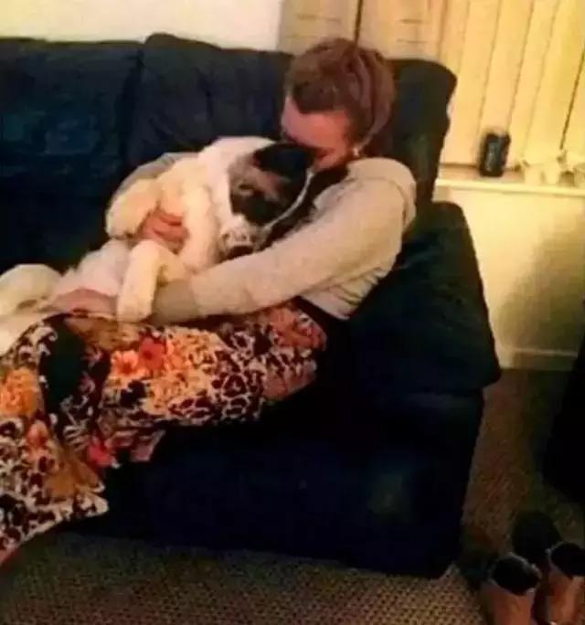 怀孕的狗狗一直哀嚎,怀孕狗狗反常焦躁走来走去还哼唧