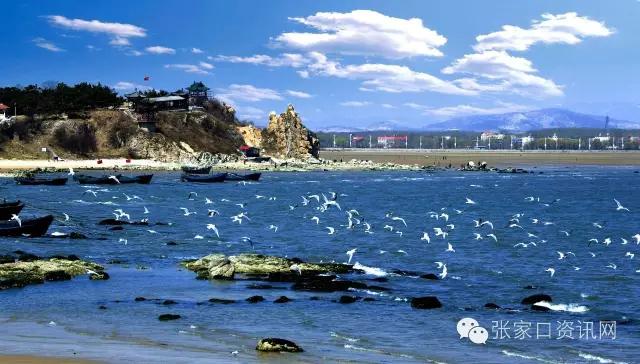 张家口有直飞西安的吗,张家口直飞上海的最低票价