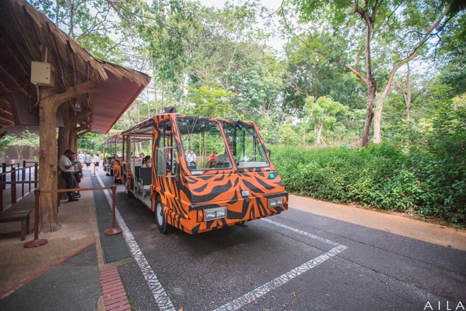 带小孩去新加坡旅游攻略,带孩子去新加坡入境攻略