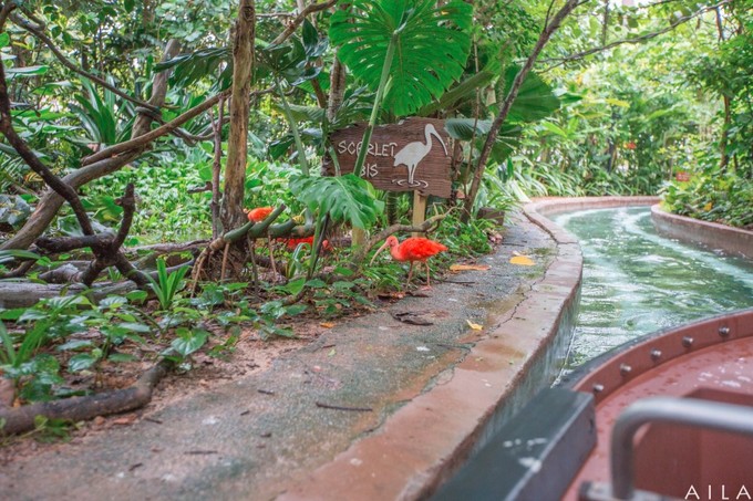 带小孩去新加坡旅游攻略,带孩子去新加坡入境攻略