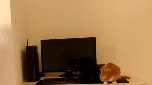 站着办公电脑桌,站着办公可升降电脑桌