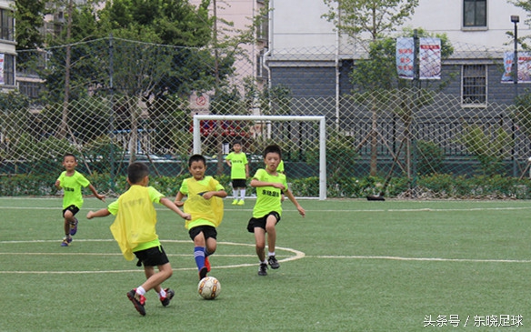 东晓足球,临沂绿荫足球俱乐部电话