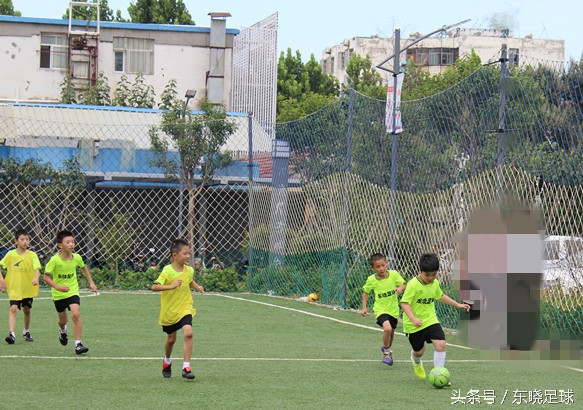 东晓足球,临沂绿荫足球俱乐部电话