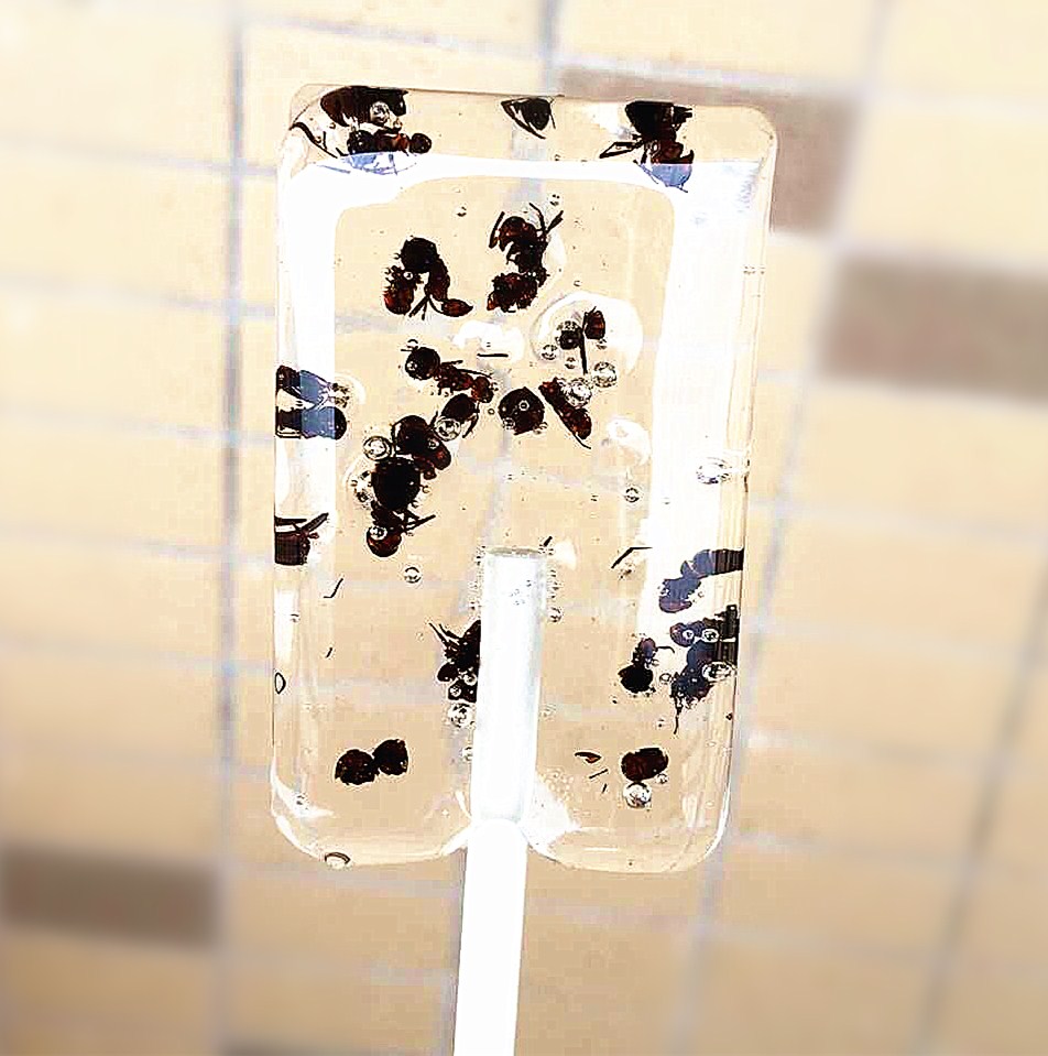 某宝上的那些奇葩商品,某宝买到恶劣产品怎么办