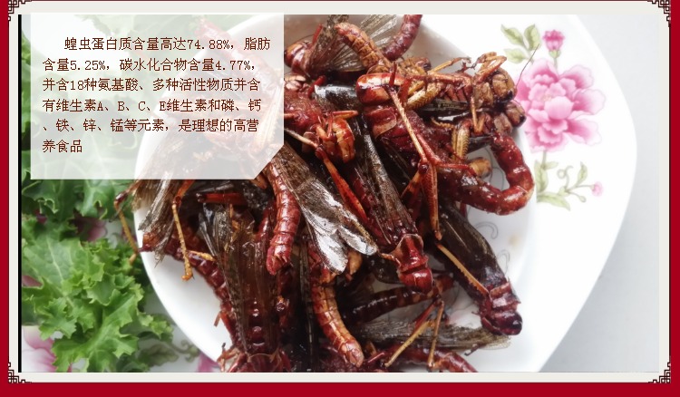 某宝上的那些奇葩商品,某宝买到恶劣产品怎么办