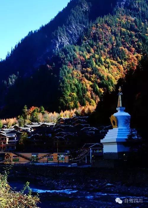 黑水彩林秘境,阿坝藏族羌族自治州黑水彩林