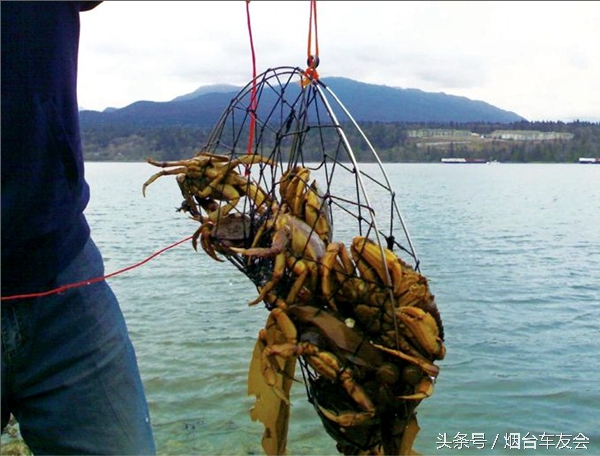 温哥华留学生活记录,温哥华高中留学日记