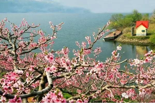 爱旅游的宜昌人不一定知道，出行用它据说能省好几千元！