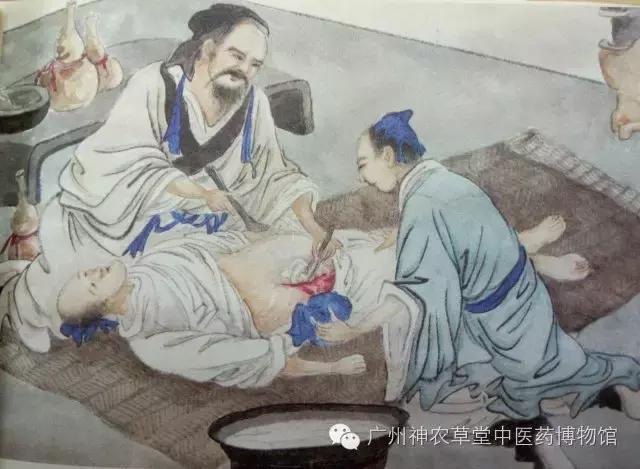 中医不懂解剖学,中医经络穴位解剖学