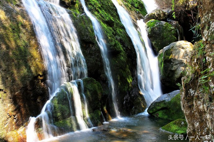 漫游天目山,探幽天目山森林之旅