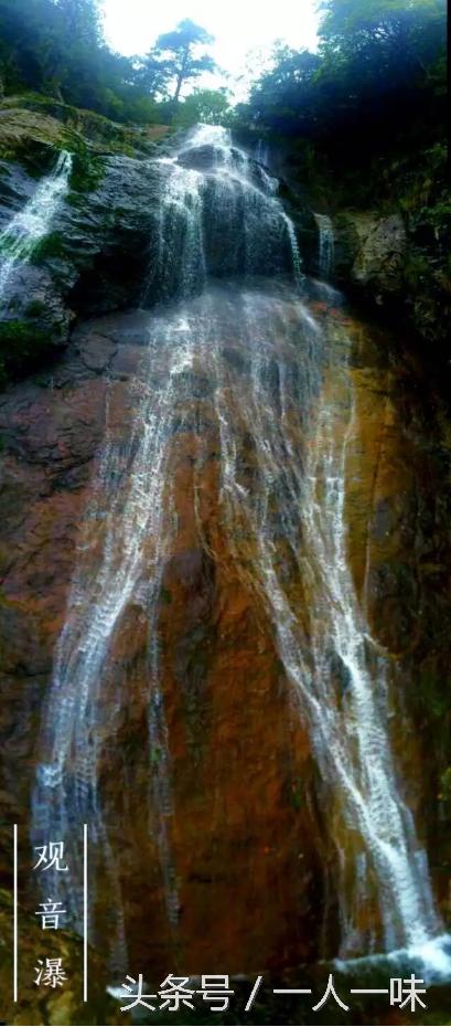 漫游天目山,探幽天目山森林之旅