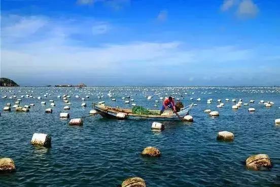 福建这些文艺到爆的灯塔，去完之后才能跟夏天好好道个别！