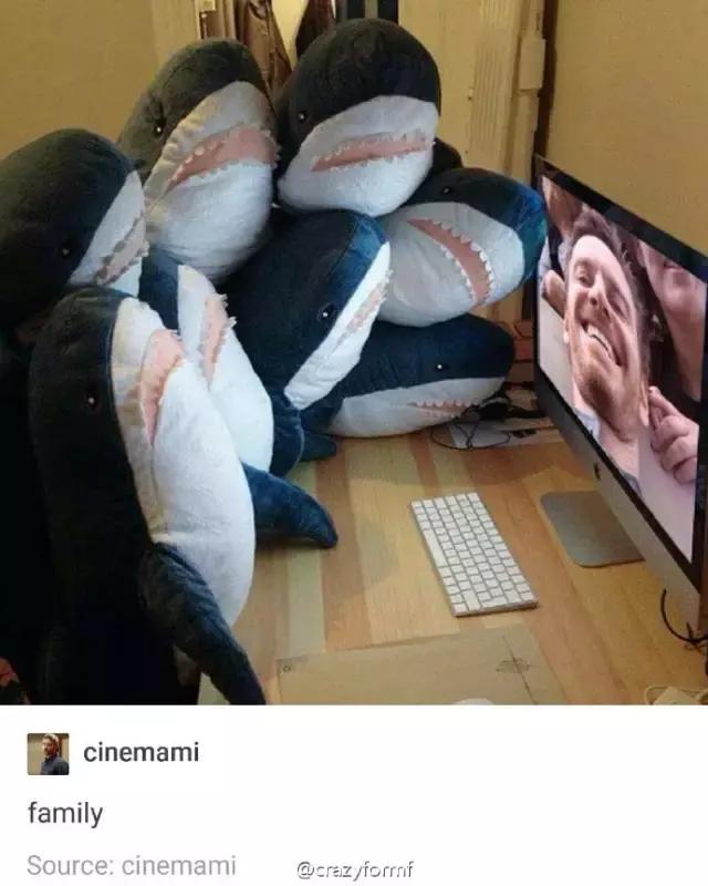 在座的各位你们输了,盘点你们到底输在了哪里