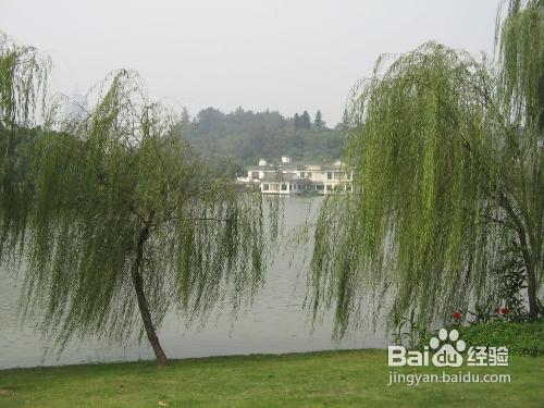 在野外没有绳子怎么做鱼竿,在没有绳子的情况下怎么制作绳索