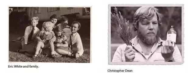 澳洲星期四农庄茶树祛痘凝胶,澳洲星期四农庄茶树精油祛痘膏