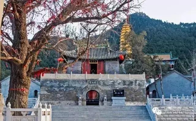 宜阳高桥村最新规划,宜阳县地标性建筑