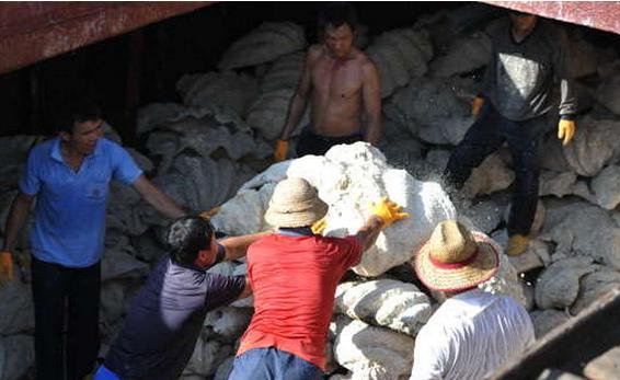 文玩带来了什么,文玩行业有多赚钱