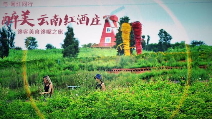 馋嘴之旅|与网红同行醉美云南弥勒红酒庄