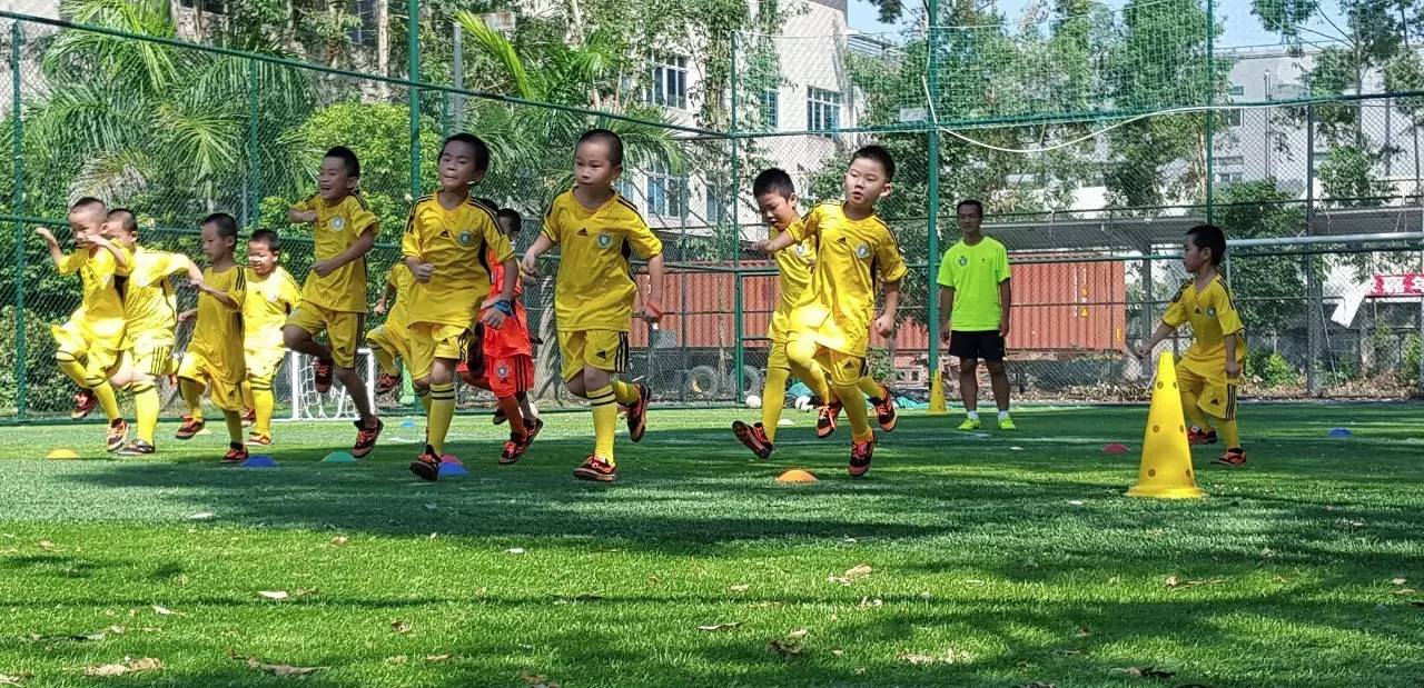 大数据足球训练,大数据在足球领域的应用