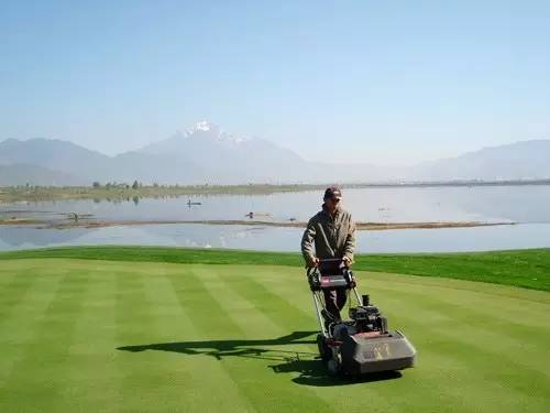 果岭速度慢如何推杆,推杆如何读果岭