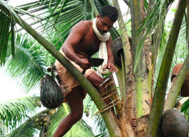 那些斯里兰卡值得推荐的特色美食