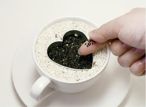 水果吃完以后的籽能种吗,吃完的水果种子不要扔