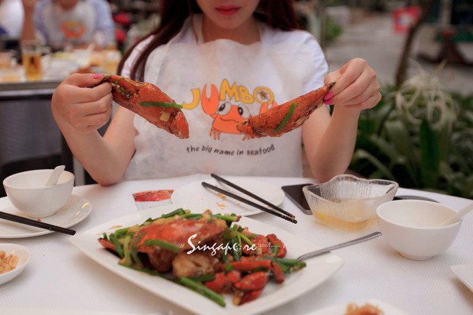 带小孩去新加坡旅游攻略,带孩子去新加坡入境攻略