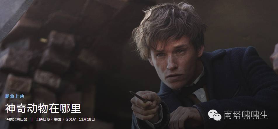 imax厅最佳观影区域 (imax最佳位置区域)