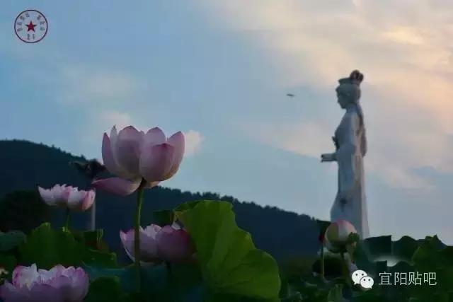 宜阳高桥村最新规划,宜阳县地标性建筑