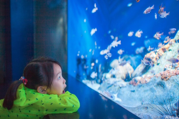 带小孩去新加坡旅游攻略,带孩子去新加坡入境攻略