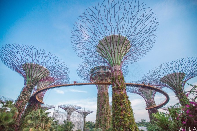 带小孩去新加坡旅游攻略,带孩子去新加坡入境攻略