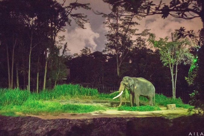 带小孩去新加坡旅游攻略,带孩子去新加坡入境攻略