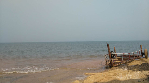 海参道地吃法 (海参好不好吃的秘诀)