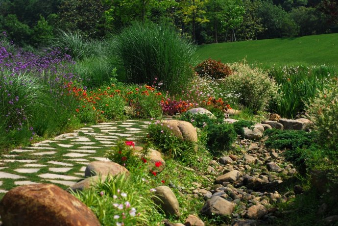 辰山植物园旱溪花境,上海辰山植物园珍稀植物