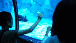 你以为他们在喂企鹅，其实他们在练腹肌