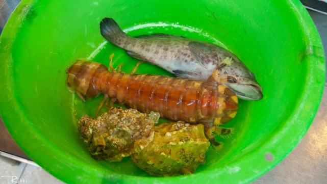 海岛兰卡威旅游,梦回兰卡威度假海岛