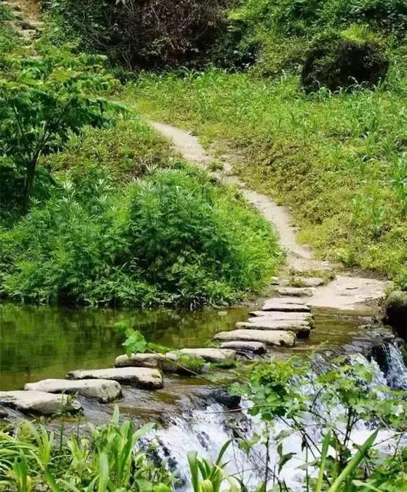 成都附近适合秋游的地方,成都秋游好去处