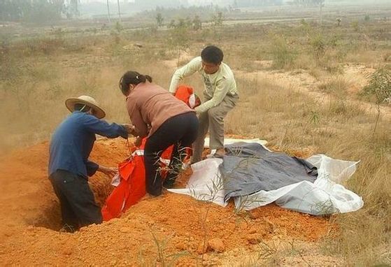 冥婚是阴婚还是阳婚,冥婚跟阴婚有什么区别