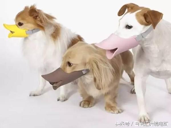 亚马逊上奇葩的商品,奇怪的亚马逊爆款