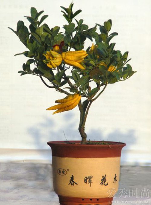 结婚17周年给老公送一个什么礼物,朋友结婚送什么礼物比较实用一点