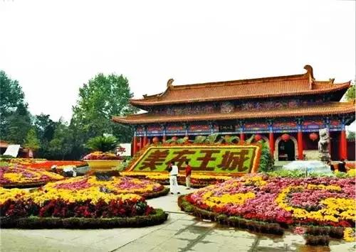 洛阳涧西区好玩的景点,洛阳郑州好玩的景点推荐
